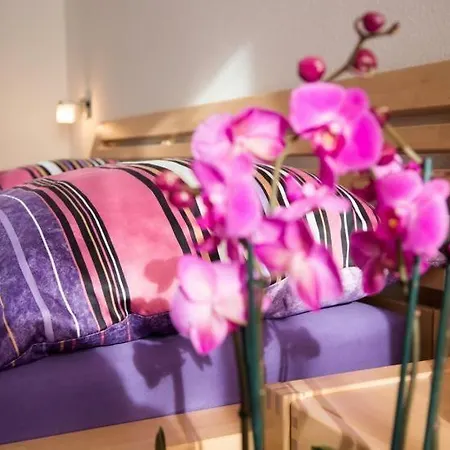 Strandmuschel Apartman *