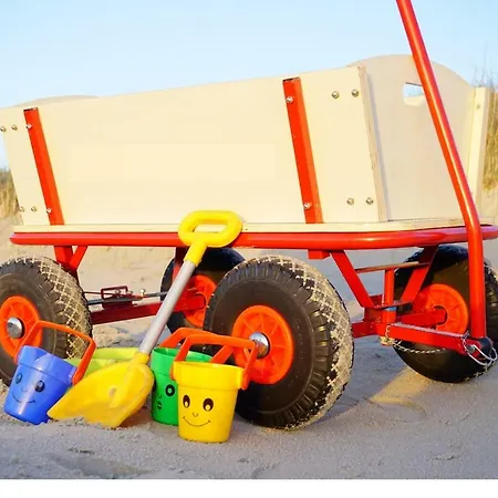 Strandmuschel Sankt Peter-Ording