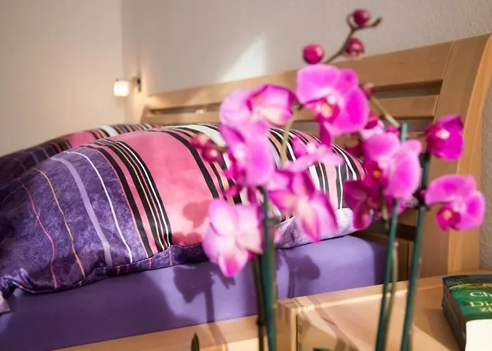 Strandmuschel 公寓 *